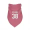 Pink Arizona Cardinals Chad Ryland   Dog & Cat Pet Bandana